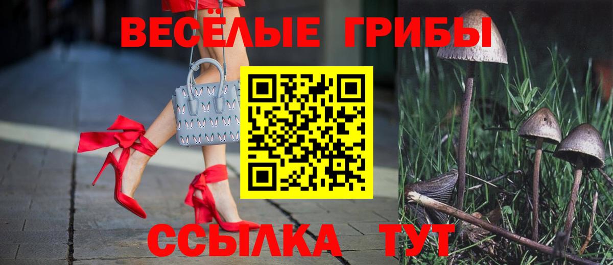 Псилоцибиновые грибы прущие грибы Дедовск